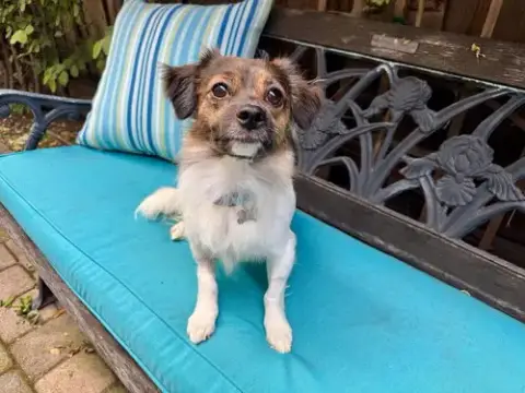 Max