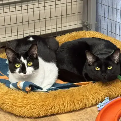 Lucy & Bobbie