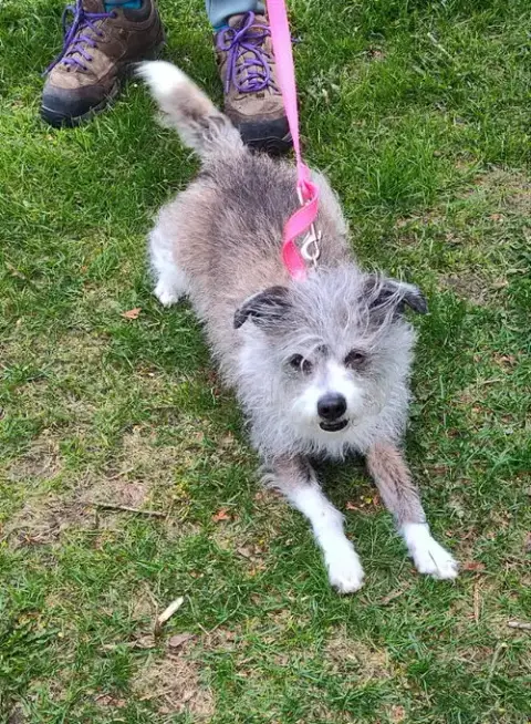 Poncho photo 2