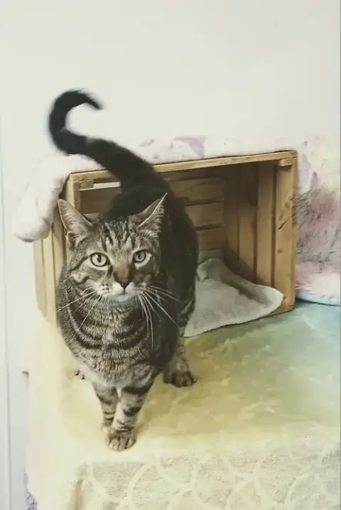 Morty