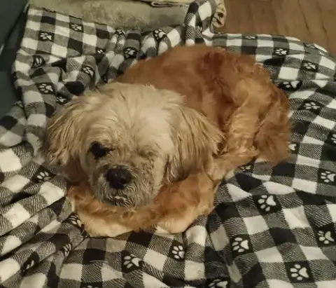 Grandpa Leo photo 3