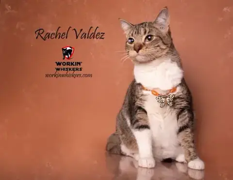 Rachel Valdez