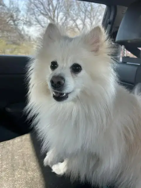 Aspen photo 4