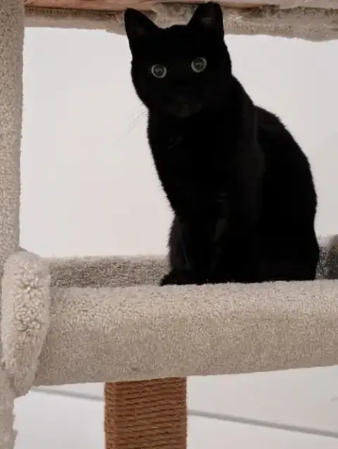 Chloe