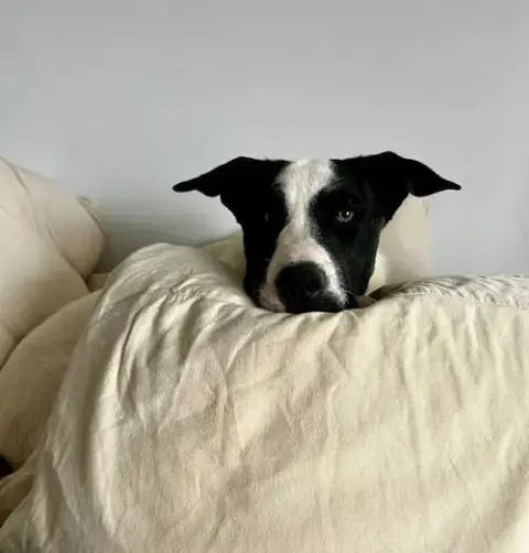 Max photo 5