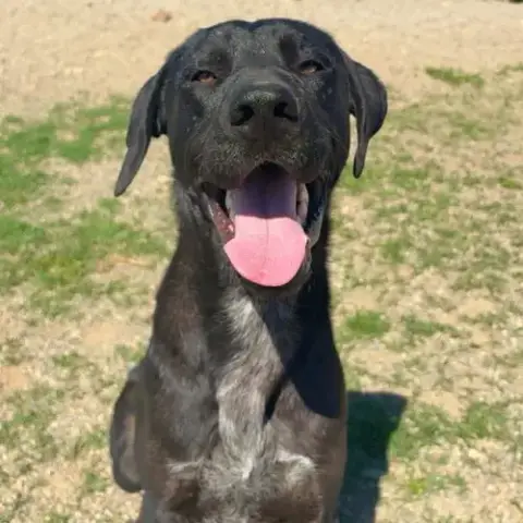 Max
