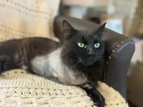 Cinder photo 2