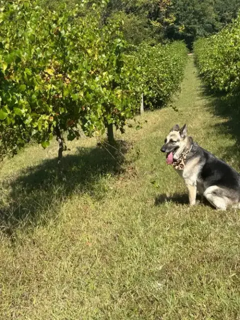 Maggie photo 5