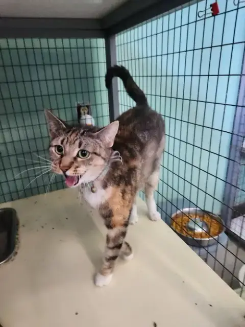 Kiki photo 2