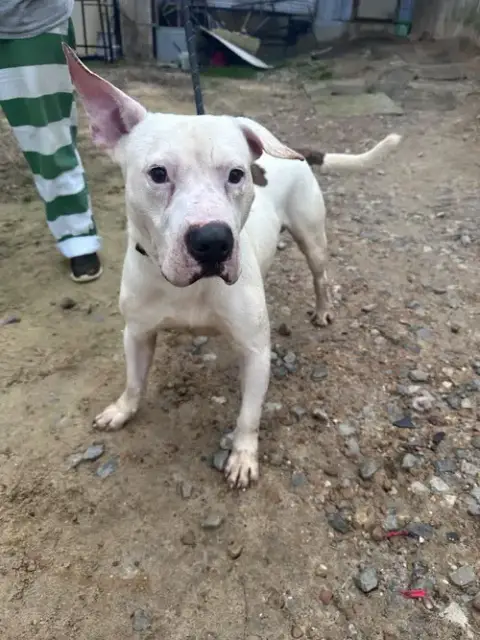 Murphy