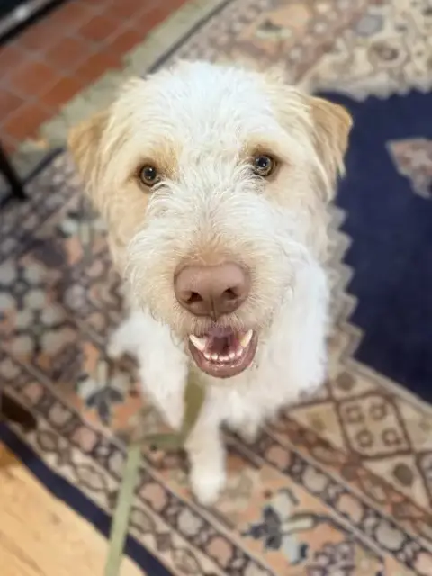 Leonidio