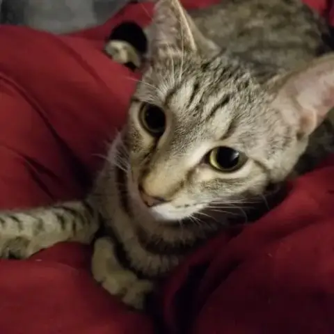 Sylvia photo 2