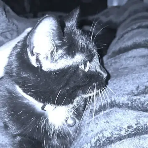 Roxy