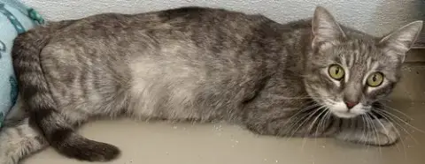 Flopsy photo 2