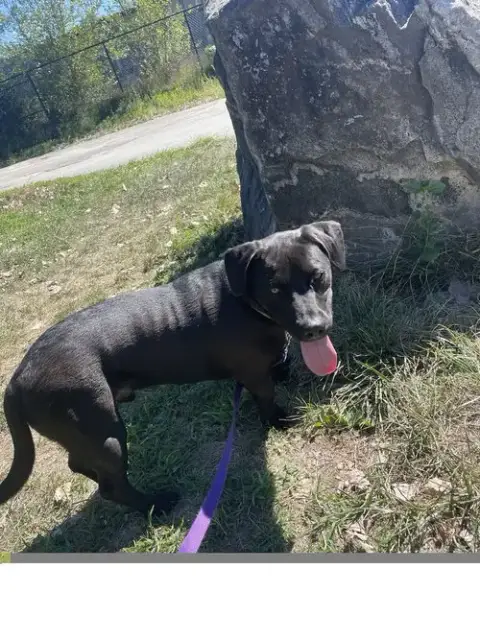 Tucker photo 2