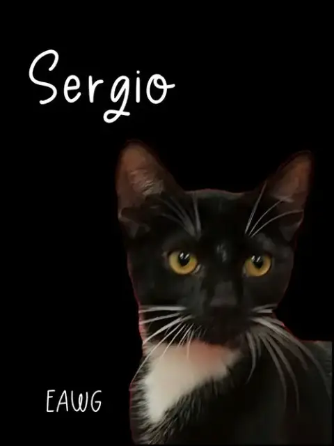 Sergio photo 2