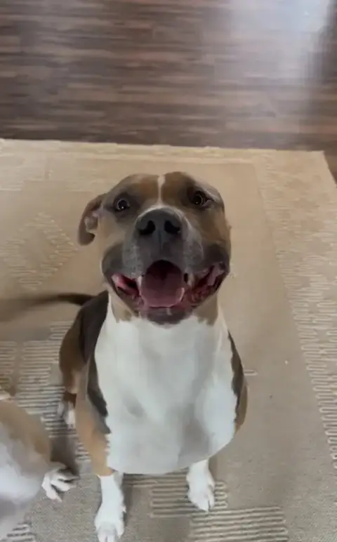 Zion