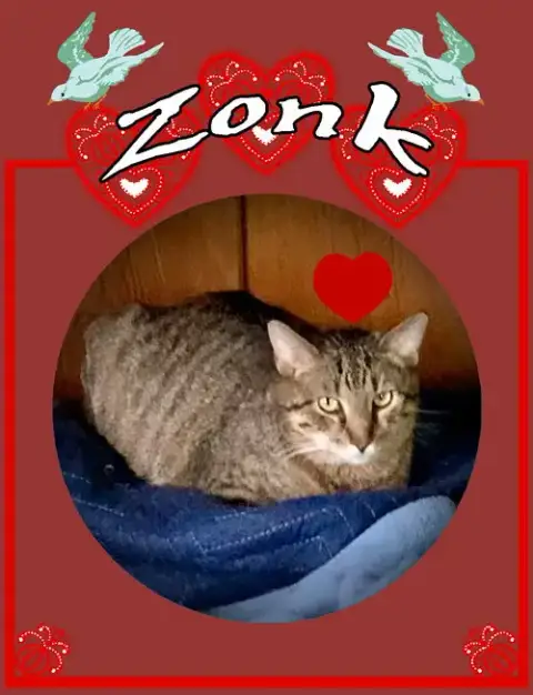 Zonk