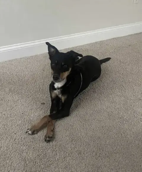 Maggie