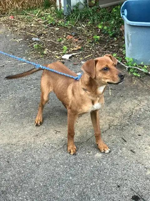 Rusty photo 2