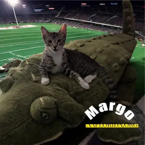 Margo photo 2