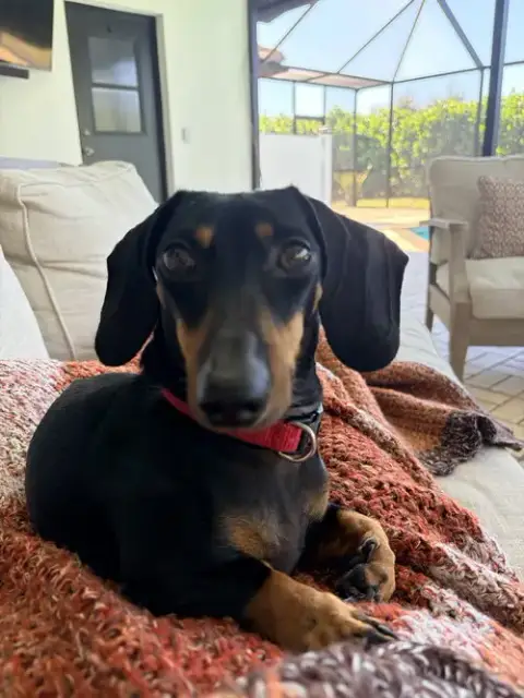 Max