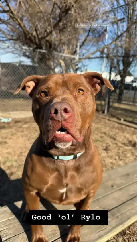 Rylo