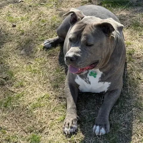 Hoss photo 3