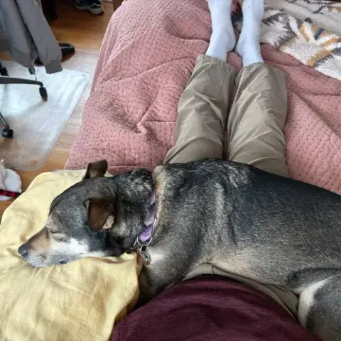 Ramona Quimby photo 3