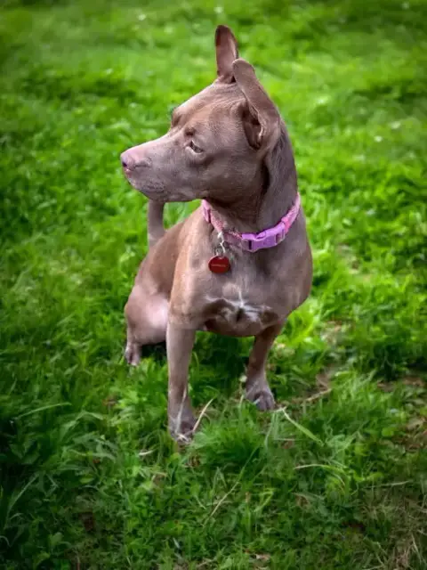 Nora photo 4