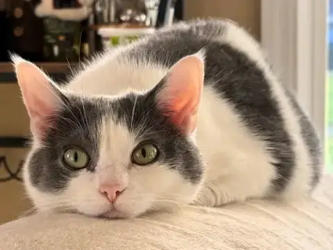 Seltzer photo 2