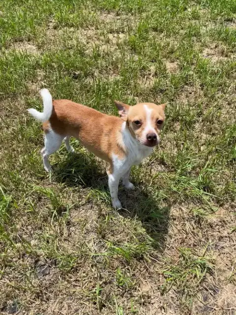 Charlie photo 4
