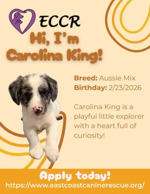 Carolina King photo 3