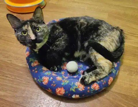 Zora photo 3