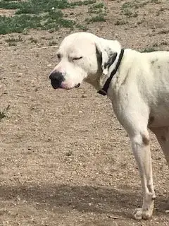 Yoshi photo 3
