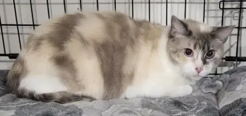 Tina