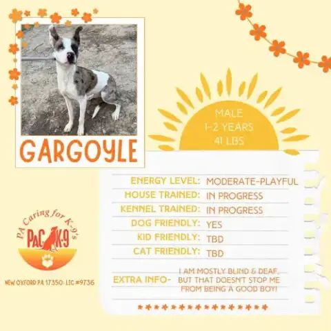 Gargoyle