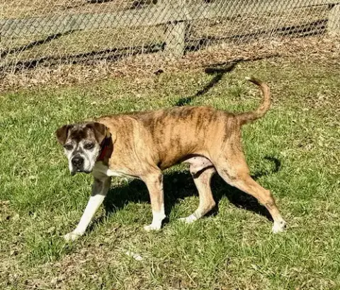 Chance photo 2