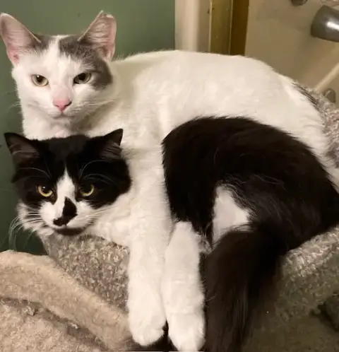 Fran Bonded With Mallory photo 2