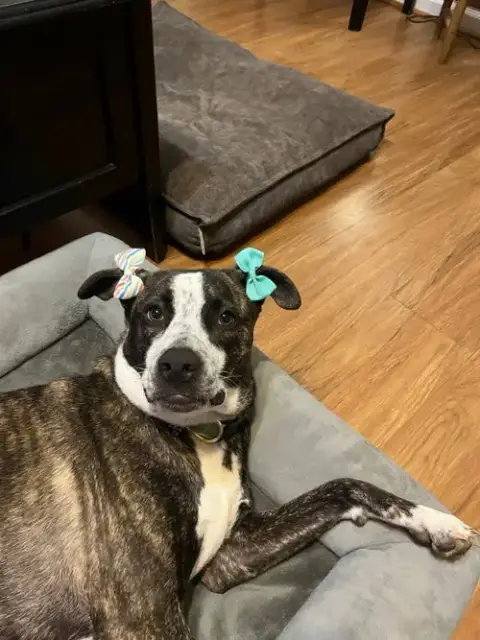 Bella photo 2