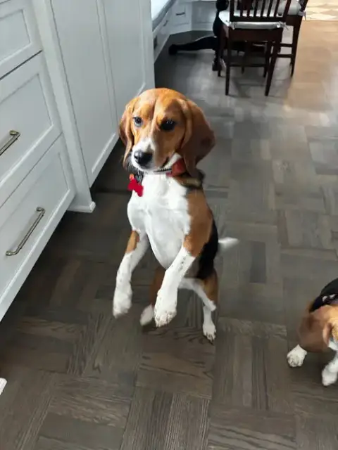 Maggie Lou photo 3