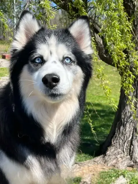 Kino photo 2