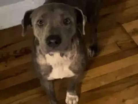 Mama