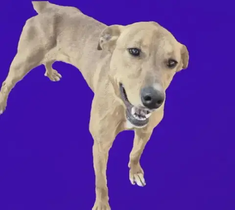 Ru