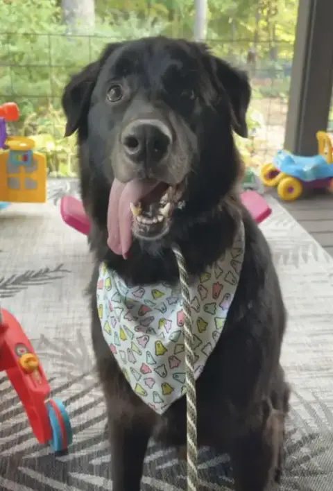 Darwin