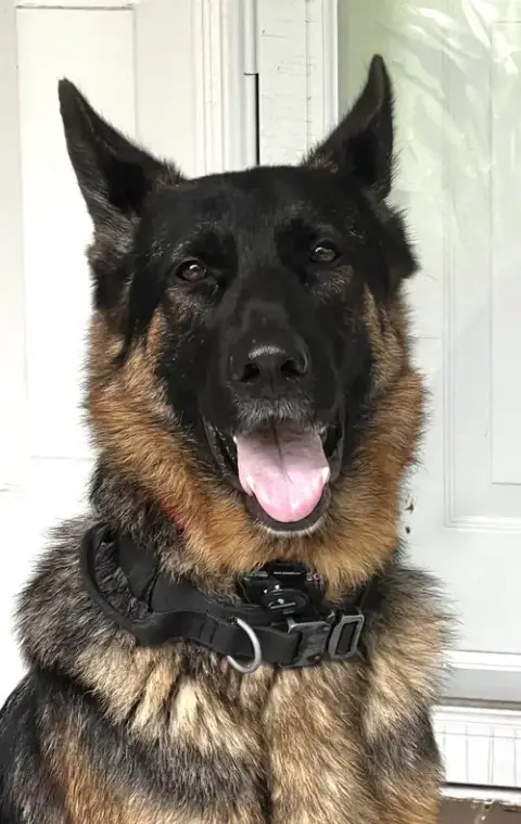 Rookie