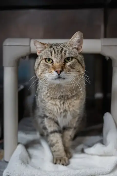 Walter