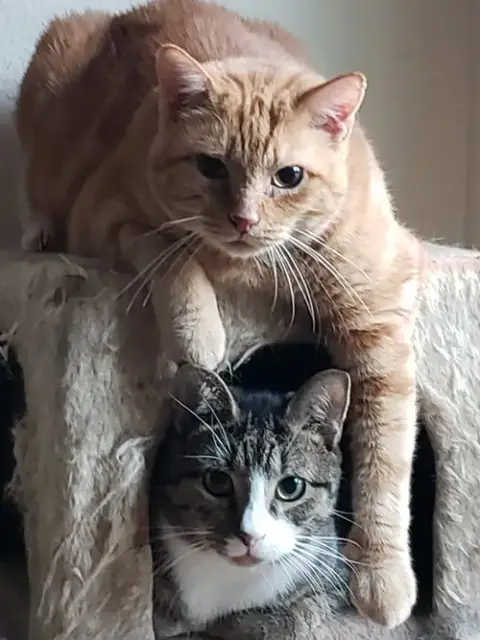 Lucky