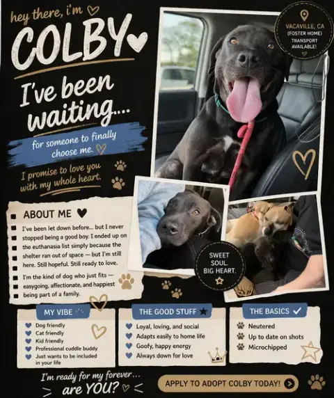 Colby