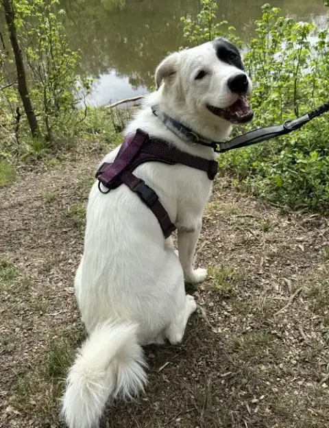 Max photo 2